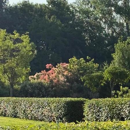 Casa Tarabuso Nocleg ze śniadaniem Reggio nell'Emilia