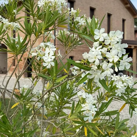 Casa Tarabuso